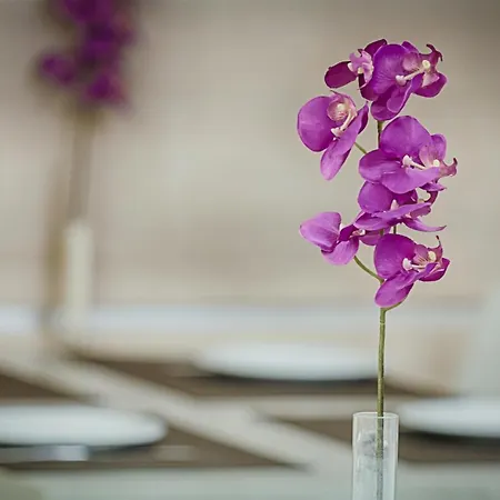 Hotel Raganelli Rome