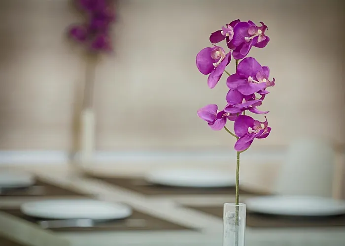 Hotel Raganelli Rome